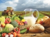 ЕС ввел новые пошлины на сельхозпродукцию и удобрения из России